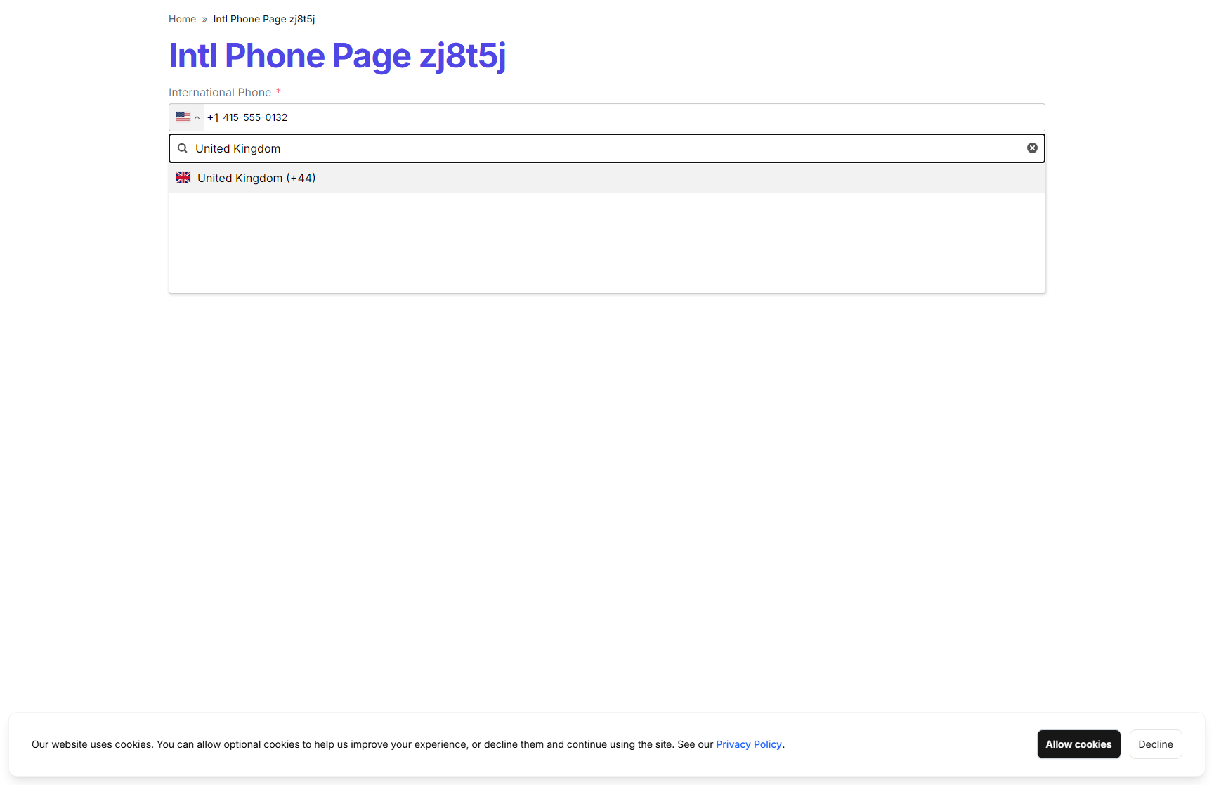 Searchable country dropdown with flags and dial codes
